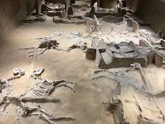 -洛阳周王城天子驾六博物馆