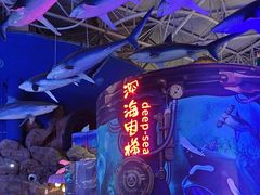 -烟台海昌鲸鲨海洋公园