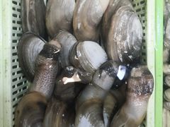 -凯华海鲜火锅·传承三十六年