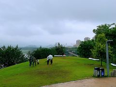 -金海湾滨江公园
