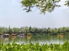 -大槐树寻根祭祖园