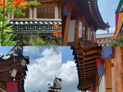 -帽儿山国家森林公园