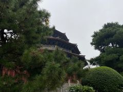 -中国唐苑