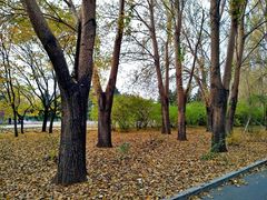 -长春公园(普阳街道)