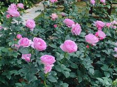 -人民公园(罗湖区)