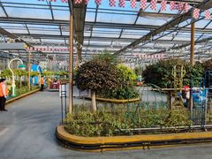 -南宫五洲植物乐园