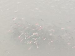 -哈尔滨师范大学(松北校区)