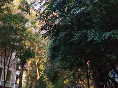 -昆明动物园
