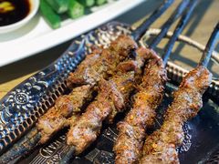 红柳烤肉-新疆伏拉沃餐厅(白龙南路店)