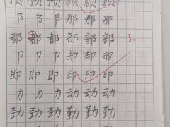 -赵汝飞练字硬笔书法(三林浦三路校区)