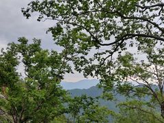 -朱雀国家森林公园