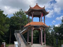 -广州白江湖森林公园