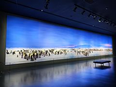 -罗红摄影艺术馆