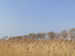 -野鸭湖国家湿地公园