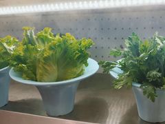 -老马路串串香火锅(北门桥店)