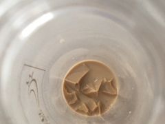 -玥儿弯弯手作烘焙(中海国际社区御城店)