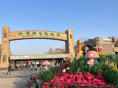 -北京野生动物园