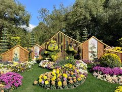 -上海共青森林公园