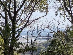 -上海佘山国家森林公园天马山园