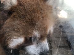 -武汉紫薇都市田园