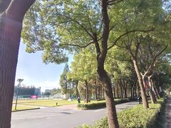 -上海财经大学(国定路校区)
