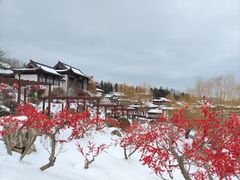 -威海华夏城景区