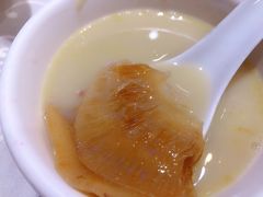 -凤城礼记鱼翅海鲜酒家(新马路总店)