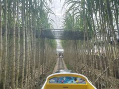-新地休闲农场