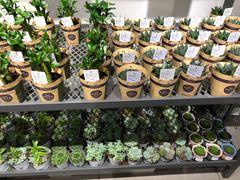 -鹿岛会员店 (龙湖三千集天街店)