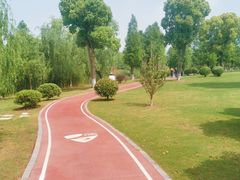 -九科绿洲
