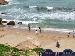 -广东惠东海龟国家级自然保护区