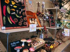 -上海植物园-4号门售票处