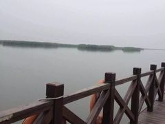 -武清南湖绿博园
