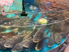 -魏铭鱼头捞饭(晋阳路店)