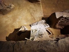 -洛阳周王城天子驾六博物馆