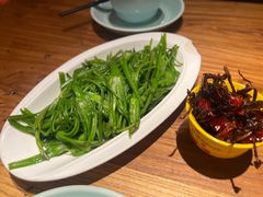 -缘生态云南菜·野生菌庭院餐厅(华侨城店)