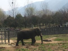 -西安秦岭野生动物园