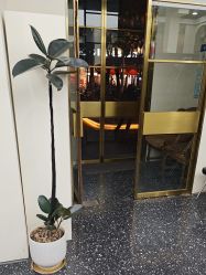 -Hair Co.一间沙龙