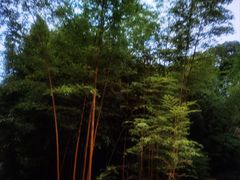 -望江楼公园