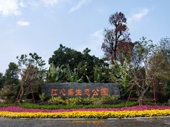 -江心岛