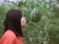 -庞各庄翠芳园西瓜蔬菜基地采摘园