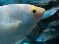 -太平洋海底世界