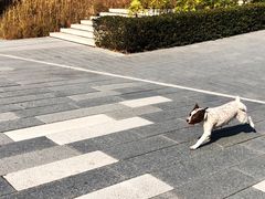 -星巴克(深圳前海企业公馆店)