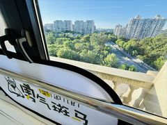 -勇气斑马·巴西柔术&跆拳道(浦东三林店)