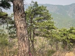 -木兰云雾山