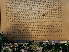 -焦山景区-万佛塔