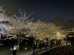 -堤角公园