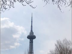 -龙塔