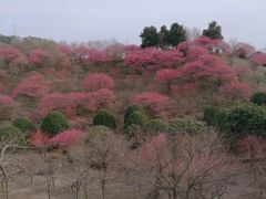 -溪口-滕头旅游景区