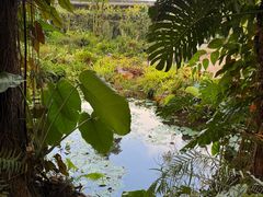 -中国科学院西双版纳热带植物园
